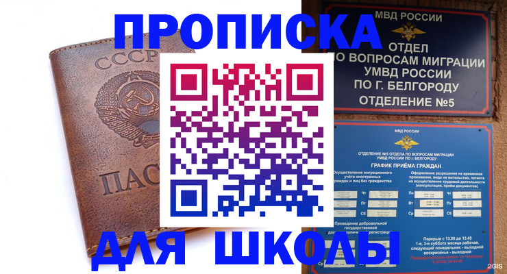 прописка для кредита в Борзе